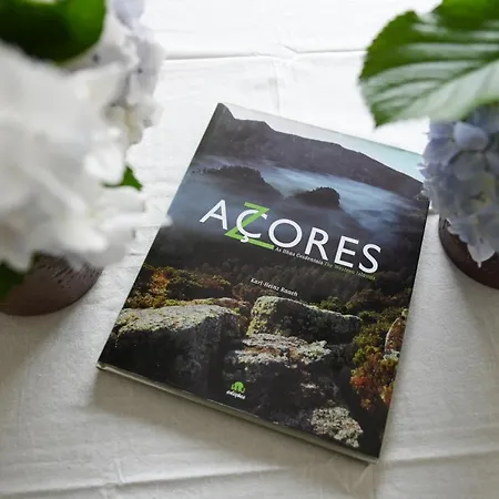 Apartament Nia Azorean