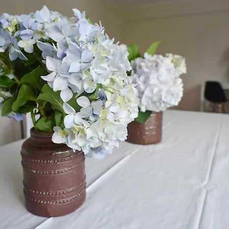 Apartament Nia Azorean