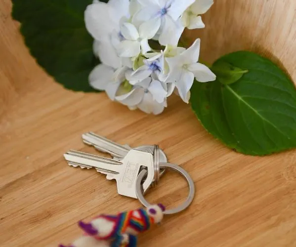 公寓 Nia Azorean 奥尔塔