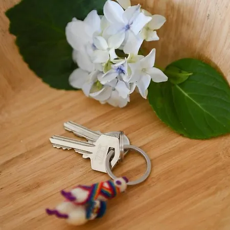 Apartment Nia Azorean Horta (Azores)
